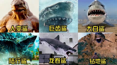 中国变异鲨鱼怎么画图片
