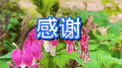 《感谢你对我的帮助》作文