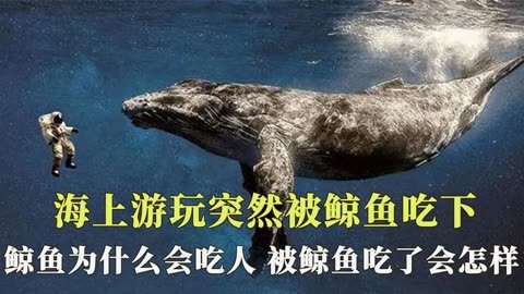 海上游玩突然被鲸鱼吃下