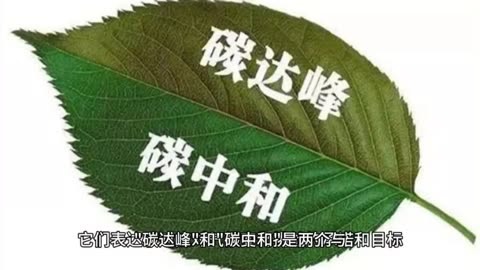 碳中和碳达峰什么意思图片