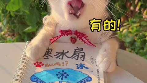 喜猫猫拿寒冰扇图片图片