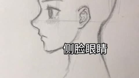 一起学画画  零基础教学 0基础绘画教程