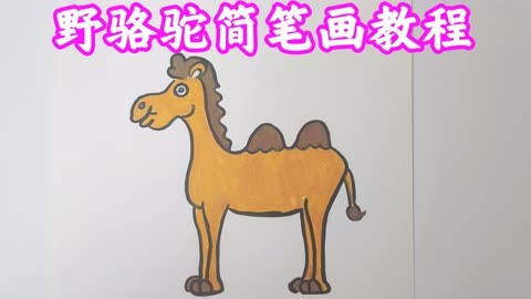 骆驼简笔画简单图片