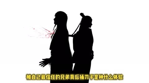 念无双,被自己最信任的兄弟背后捅刀子是种什么体验?无双源仲同病相怜