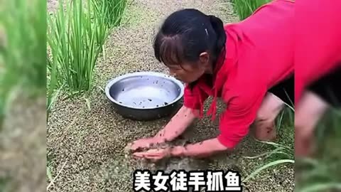 女子徒手抓鱼图片