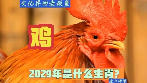 2029年是鸡年